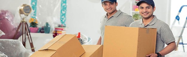 Domestic Packers And Movers